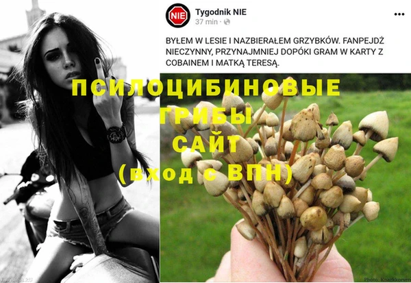 метадон Алексин