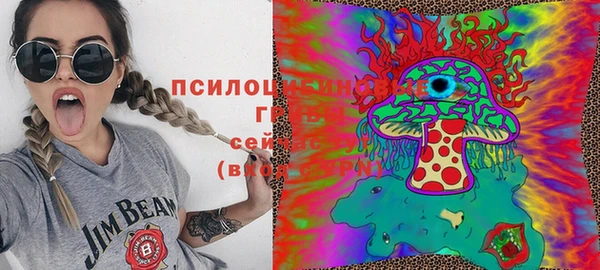 метадон Алексин