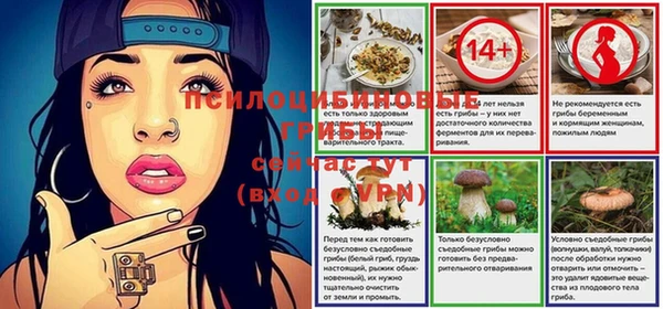 крисы Алексеевка