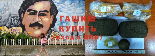 метадон Алексин