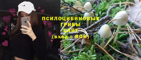 крисы Алексеевка