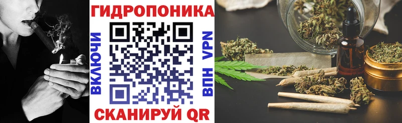 купить Кондопога Бошки Шишки конопля